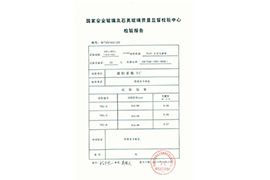 檢測報告
