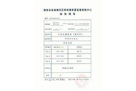 檢測報告