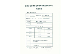 檢測報告