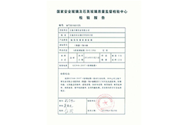 檢測報告