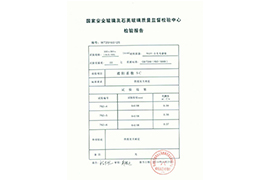 檢測報告